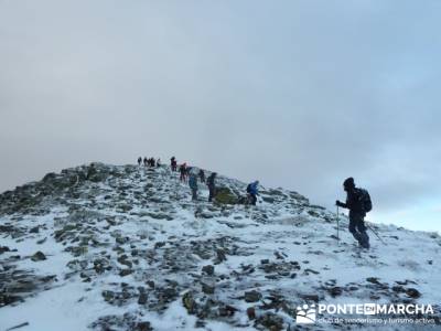 Hayedo de Pedrosa - Parque Natural Sierra Norte de Guadalajara - Hayedo de Tejera Negra